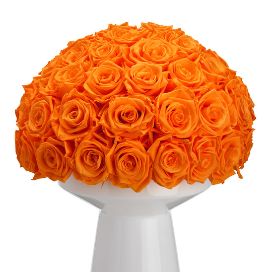 Ivoire Grande Le Luxe Orange