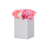 Rosé Petite Pink Ivory Fusion Preserved Flowers