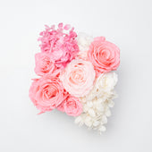 Rosé Petite Pink Ivory Fusion Preserved Flowers