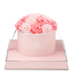 Rosé Round Baby Pink and Light Pink Preserved Roses