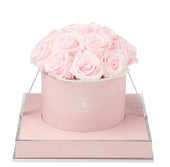 Rosé Round Baby Pink Preserved Roses
