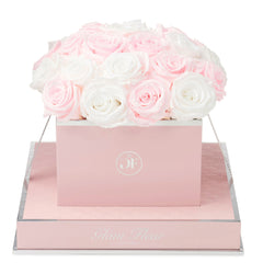 Rosé Square Baby Pink and White Preserved Roses
