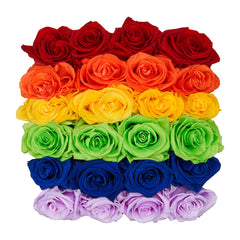Rosé Square Rainbow Ombre Preserved Roses