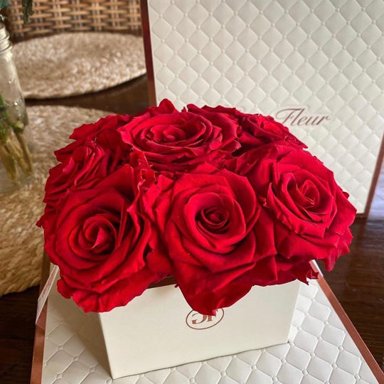 Blanche Chic Light Red