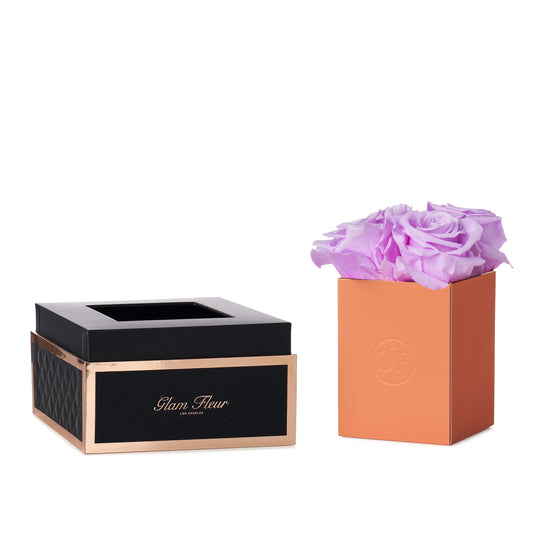Noir Petite Baby Lily
